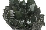 Dark Green, Hedenbergite Included Quartz - Mongolia #163989-3